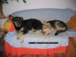 Perdida und Ronja